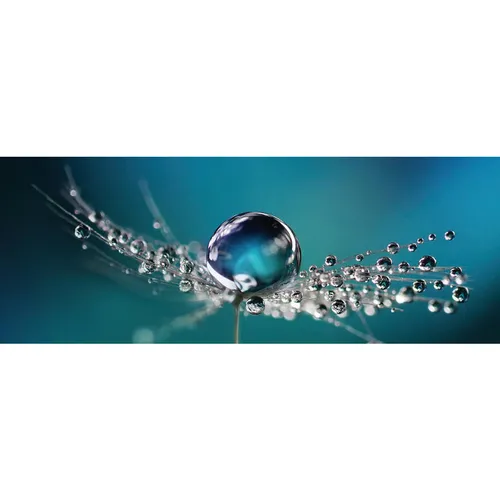 Euroart OBRAZ NA SKLE, květiny, 30/80/1,40 cm