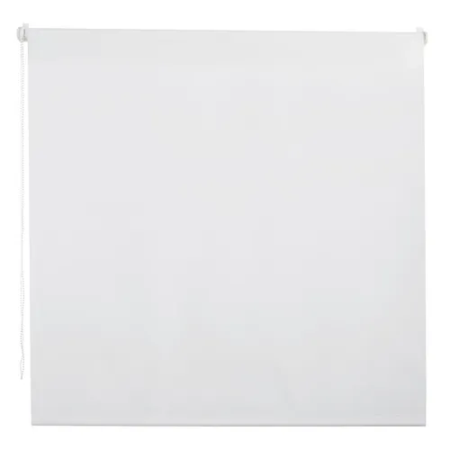 Homeware ROLETA, poloprůhledné, 100/160 cm