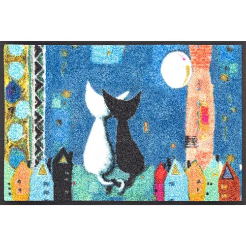 wash+dry DVEŘNÍ ROHOŽKA, 40/60 cm