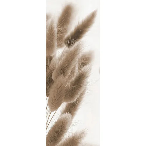 Euroart OBRAZ NA SKLE, rostliny, 30/80/1,40 cm