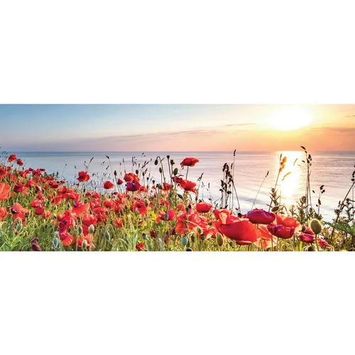 Euroart OBRAZ NA SKLE, krajina a příroda, 50/125/1,40 cm