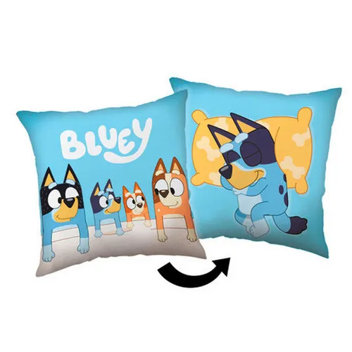 XXXL DEKORAČNÍ POLŠTÁŘ 40/40 cm