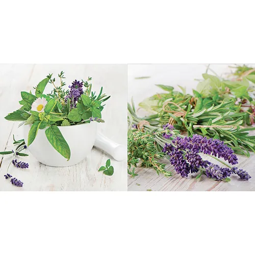 Euroart OBRAZ NA SKLE, koření, 20/40/1,40 cm