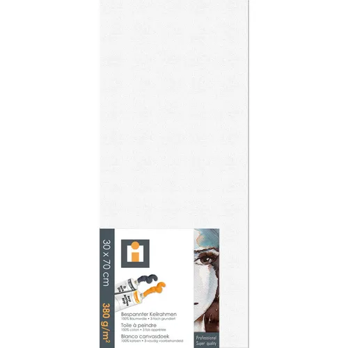 XXXL MALÍŘSKÉ PLÁTNO, 30/70/1,7 cm