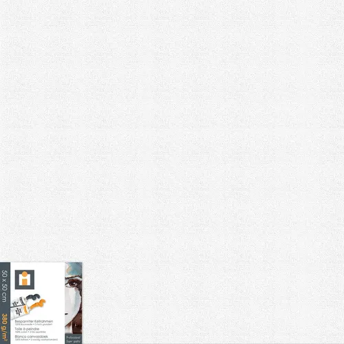 XXXL MALÍŘSKÉ PLÁTNO, 50/50/1,7 cm