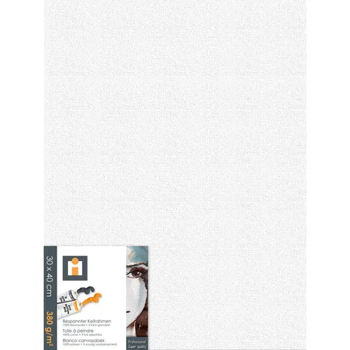 XXXL MALÍŘSKÉ PLÁTNO, 30/40/1,7 cm