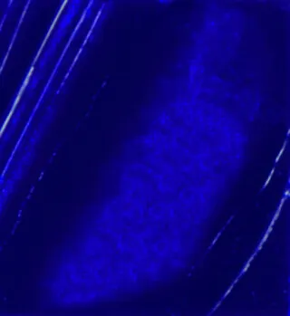 Olejová barva Pébéo XL 200ml – 14 ultramarine blue