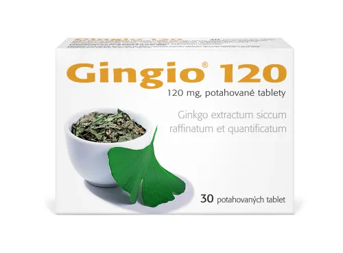 Gingio 120 por.tbl.flm. 30 x 120 mg
