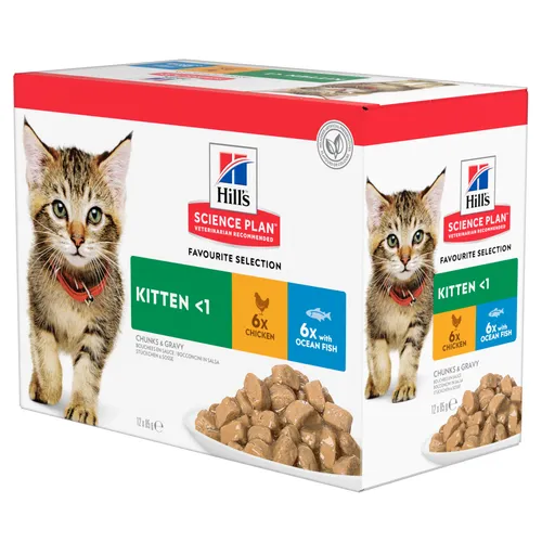 Hill's Sience Plan Kitten para gatos - 48 x 85 g Selección de carne y pescado