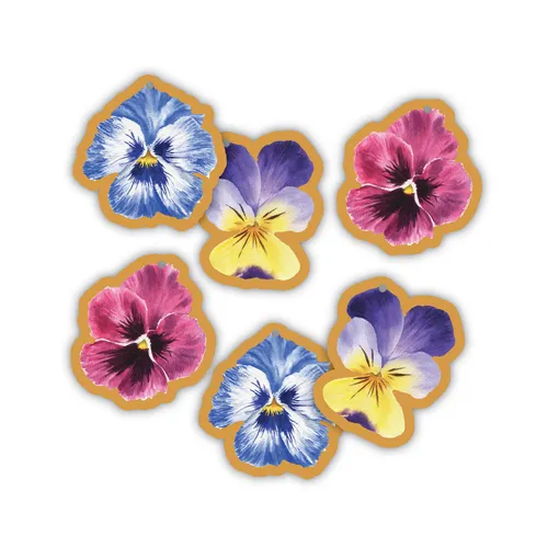 Albi Visačky na dárky Macešky jmenovky 6 ks 10×10 cm 3 barvy mix jednostranný potisk