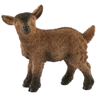 Zvířátko - kůzle