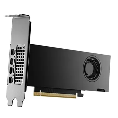 Dell NVIDIA RTX 2000 Ada Generation, 16 GB GDDR6, Pleine hauteur, PCIe 4.0 x 8, 4 mDP Carte graphique