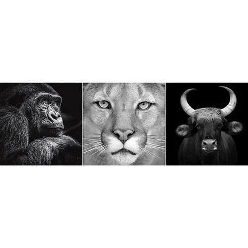 Euroart OBRAZ NA SKLE, zvířata, 30/90/1,40 cm