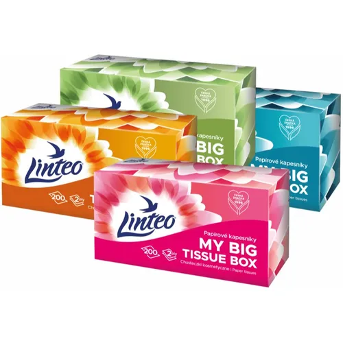Linteo Paper Tissues Two-ply Paper, 200 pcs per box papírové kapesníky 200 ks