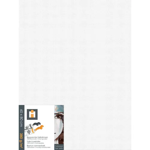 MALÍŘSKÉ PLÁTNO, 60/80/1,7 cm