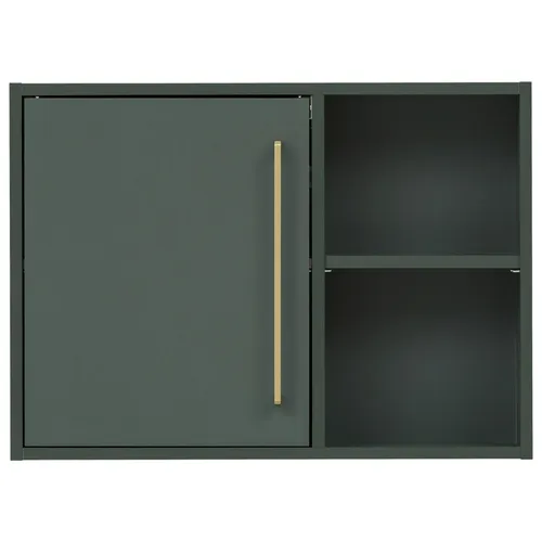 Stylife ZÁVĚSNÁ SKŘÍŇKA, lesní zelená, 66,8/48,4/16 cm