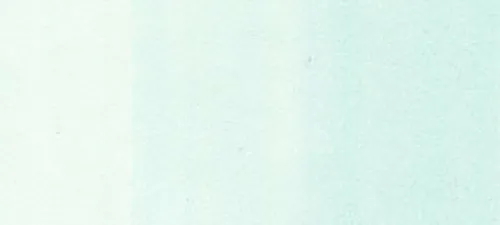 Copic Ink – BG0000 Snow Green